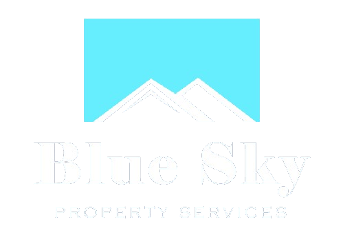 What Are Blue Sky Laws And How Do They Relate To Reg D?